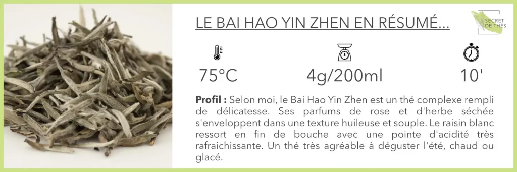 Thé blanc Bai Hao Yin Zhen (aiguille d’argent)_résumé dégustation