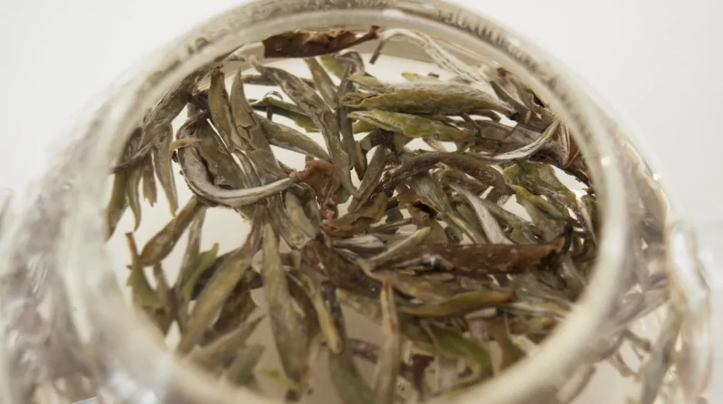 Thé blanc-BAI HAO YIN ZHEN-feuilles infusées
