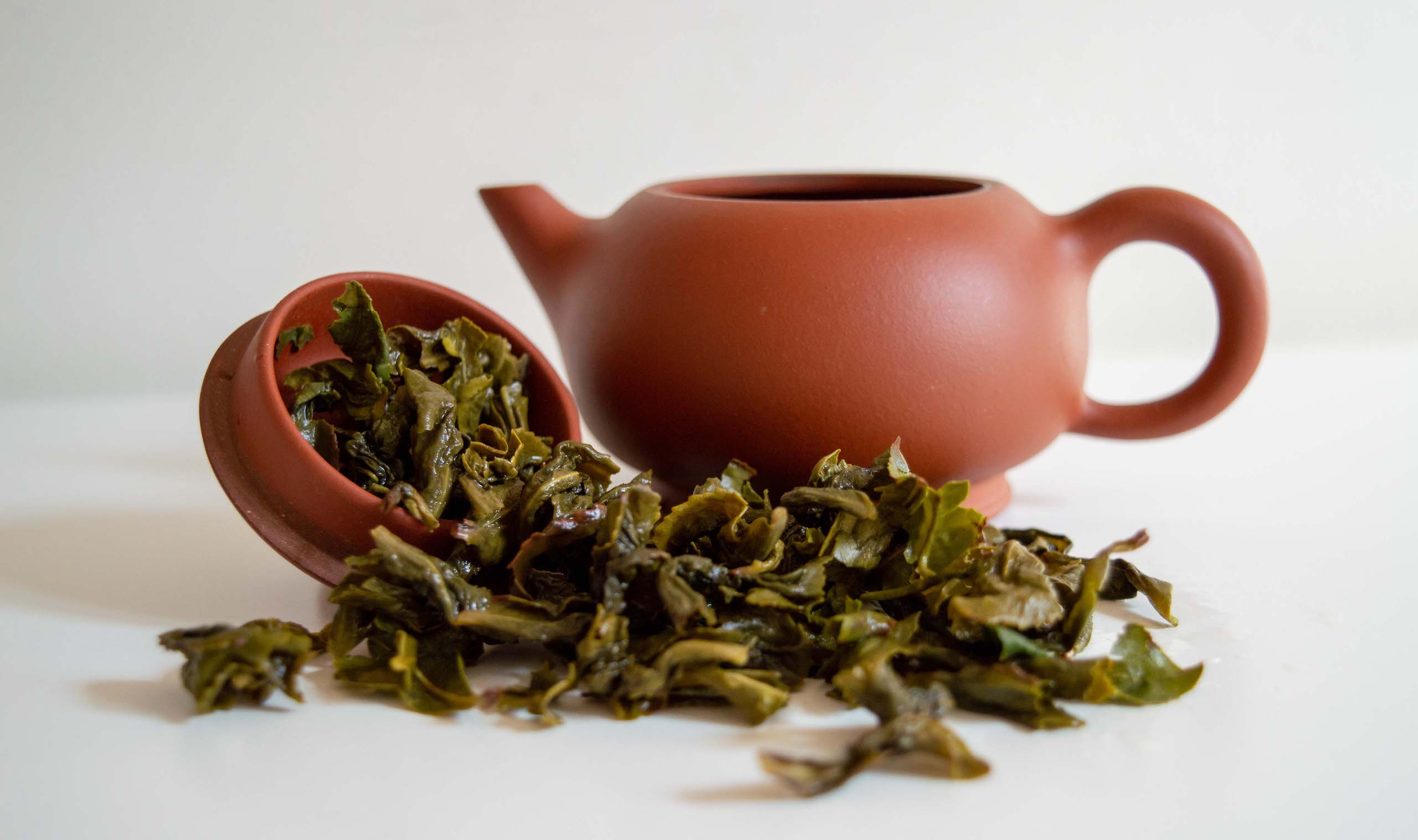 dégustation_the oolong_anxi tie guan yin_feuilles infusées