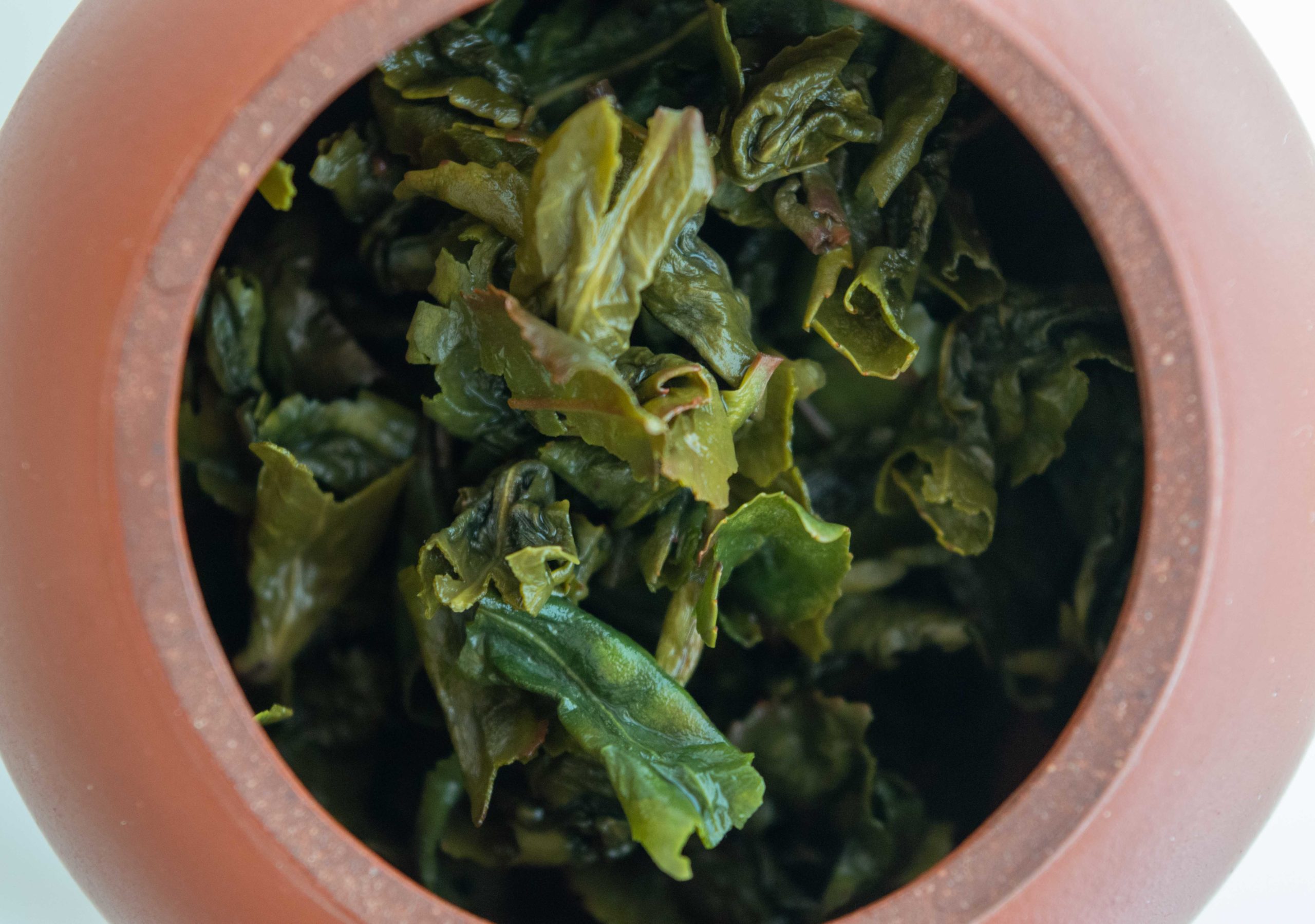 dégustation_the oolong_anxi tie guan yin_feuilles infusées