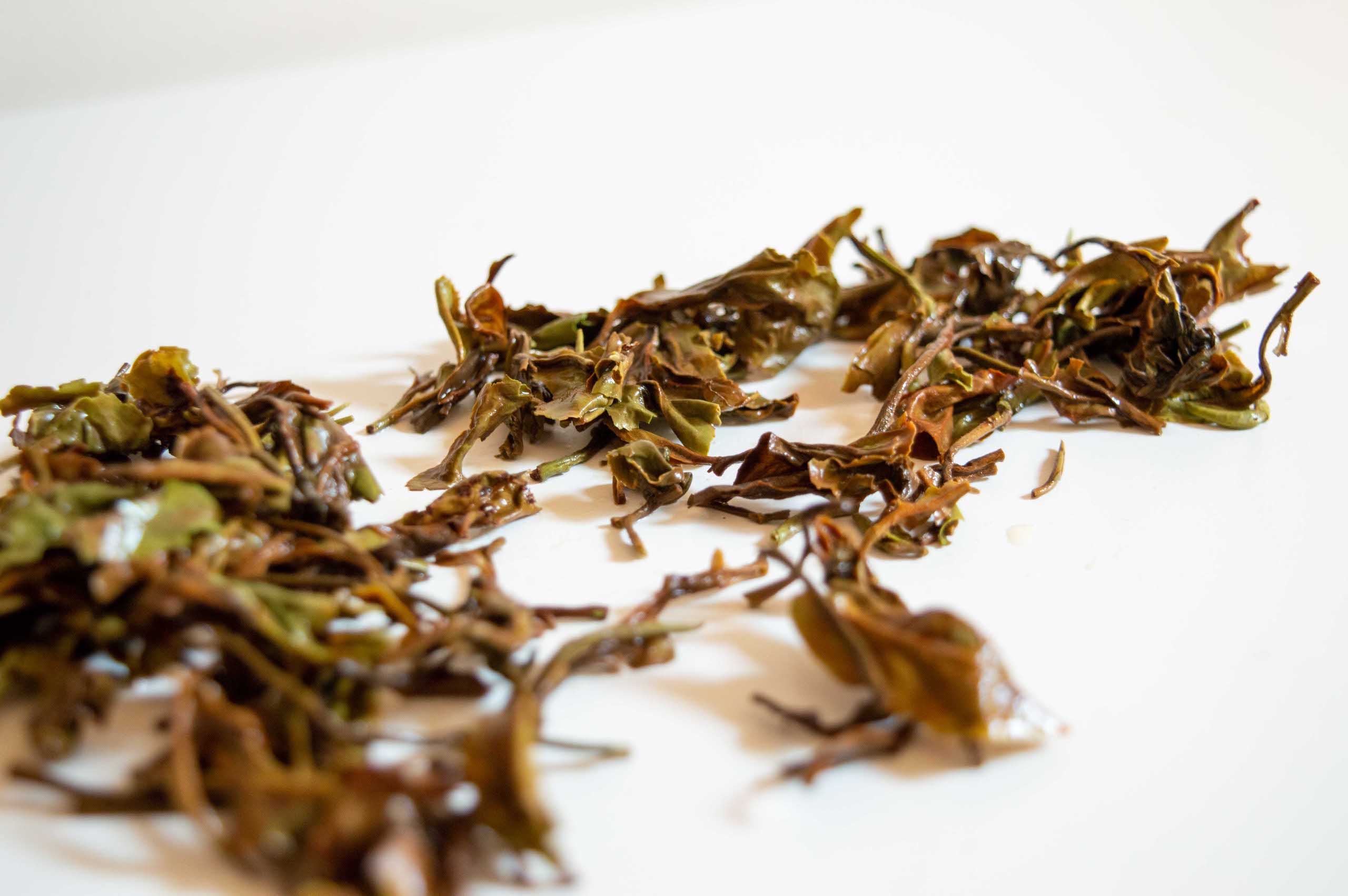 Dégustation Thé Noir Darjeeling - Rohini_feuilles infusées