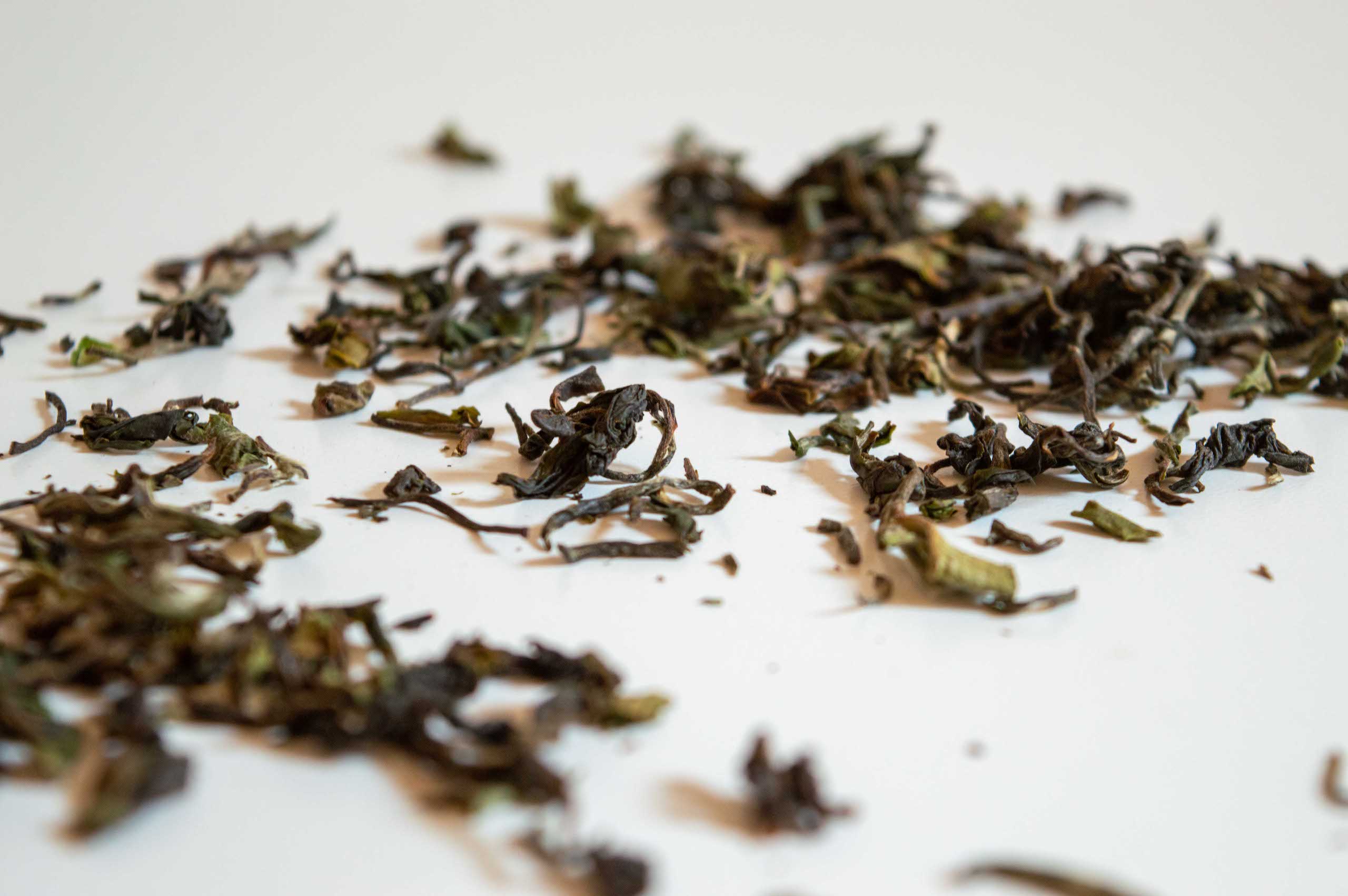 Dégustation Thé Noir Darjeeling - Rohini_feuilles sèches