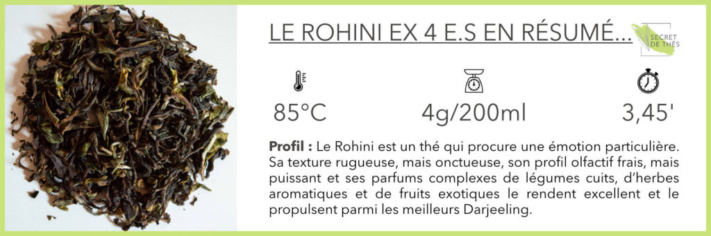 Dégustation Thé Noir Darjeeling - Rohini_résumé
