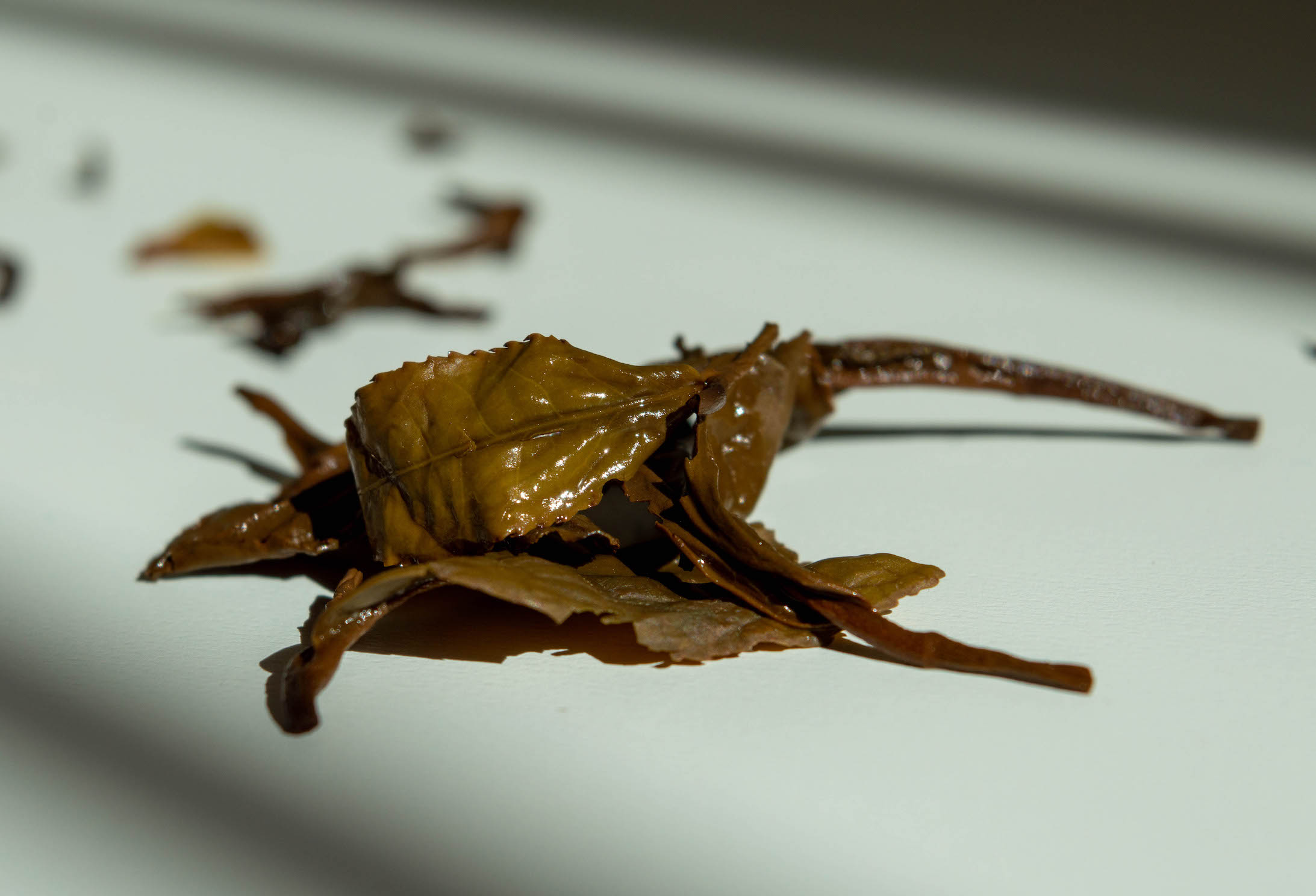 thé-noir-coréen-feuilles-infusées
