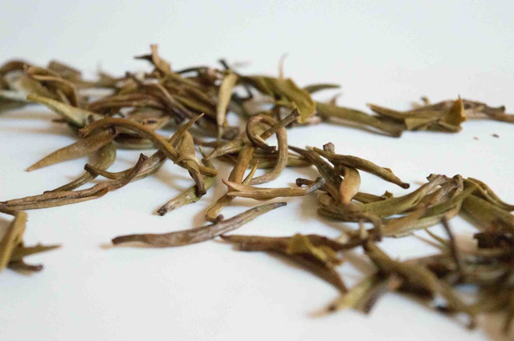feuille infusée de thé jasmin yin zhen