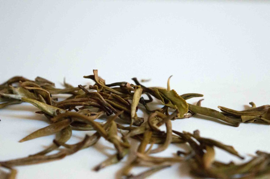feuille infusée de thé jasmin yin zhen