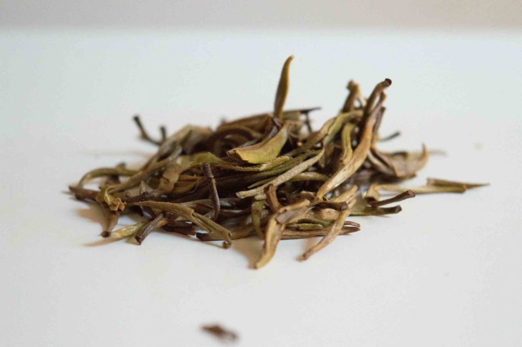 feuille infusée de thé jasmin yin zhen