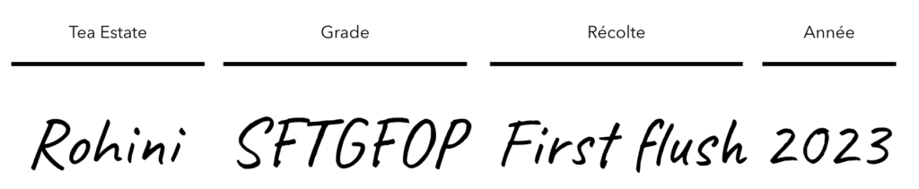 th du darjeeling_naming