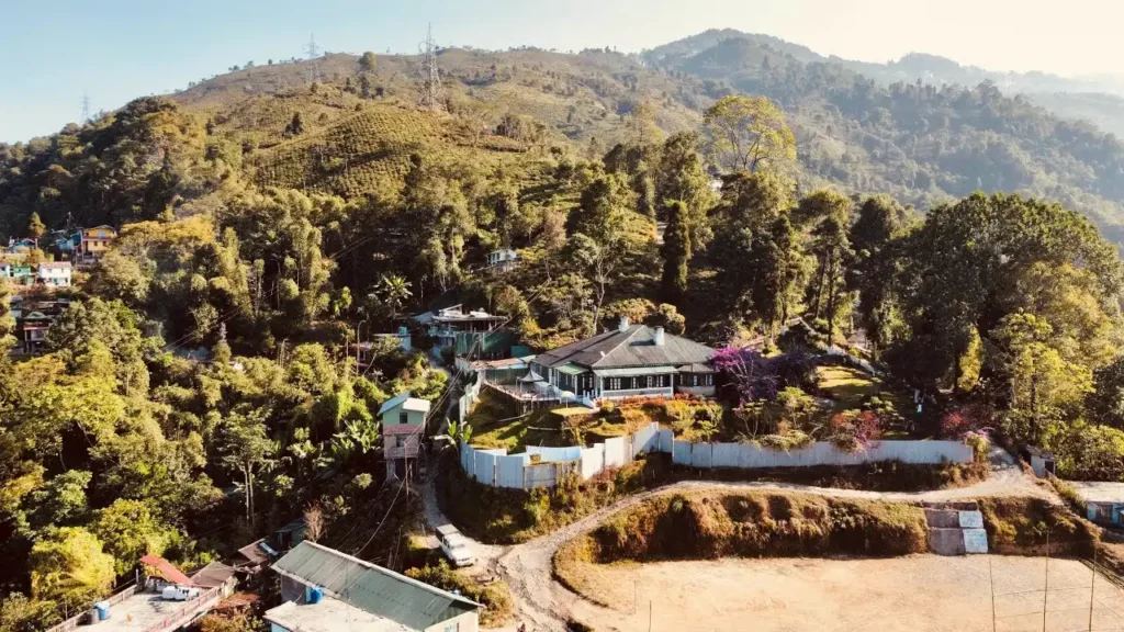 thé du darjeeling_tea estate