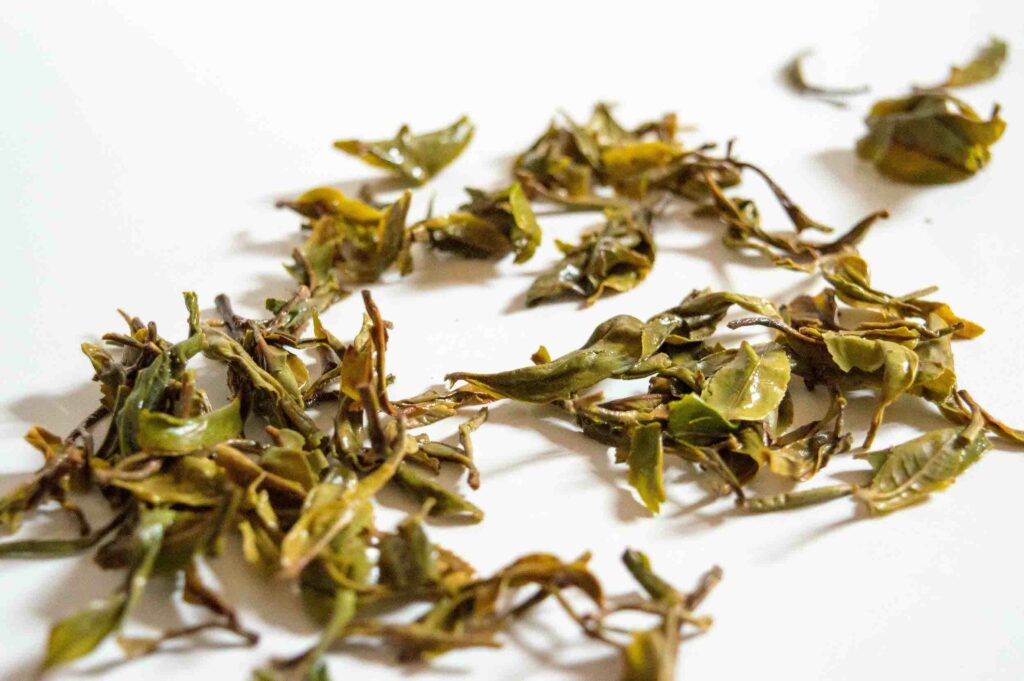 Thé-Darjeeling-feuille-infusée-okayti
