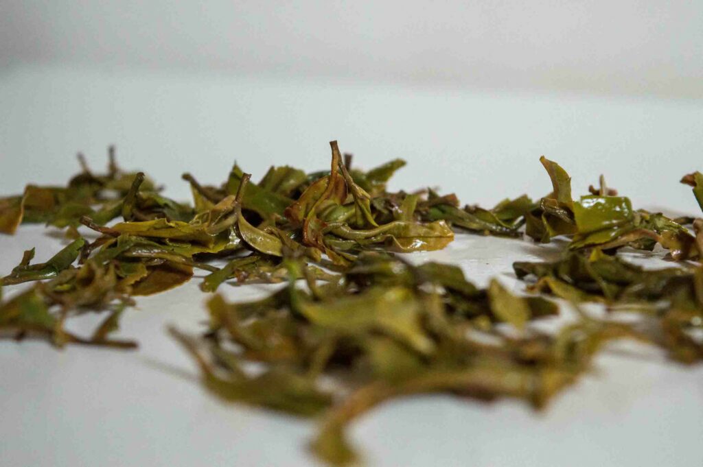Thé-Darjeeling-feuille-infusée-okayti