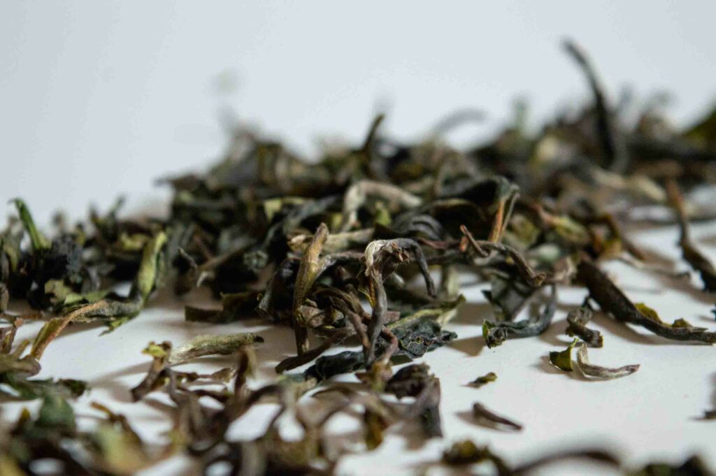 Thé-Darjeeling-feuille-séchée-okayti