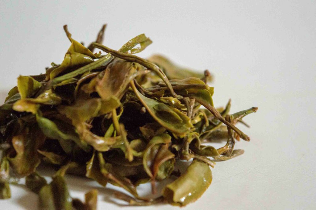 Thé-Darjeeling-feuille-infusée-okayti