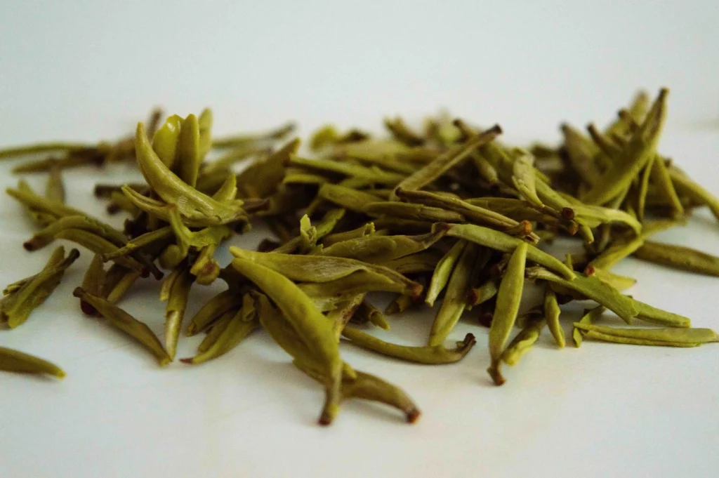 dégustation_thé_jaune_junshan Yin zhen