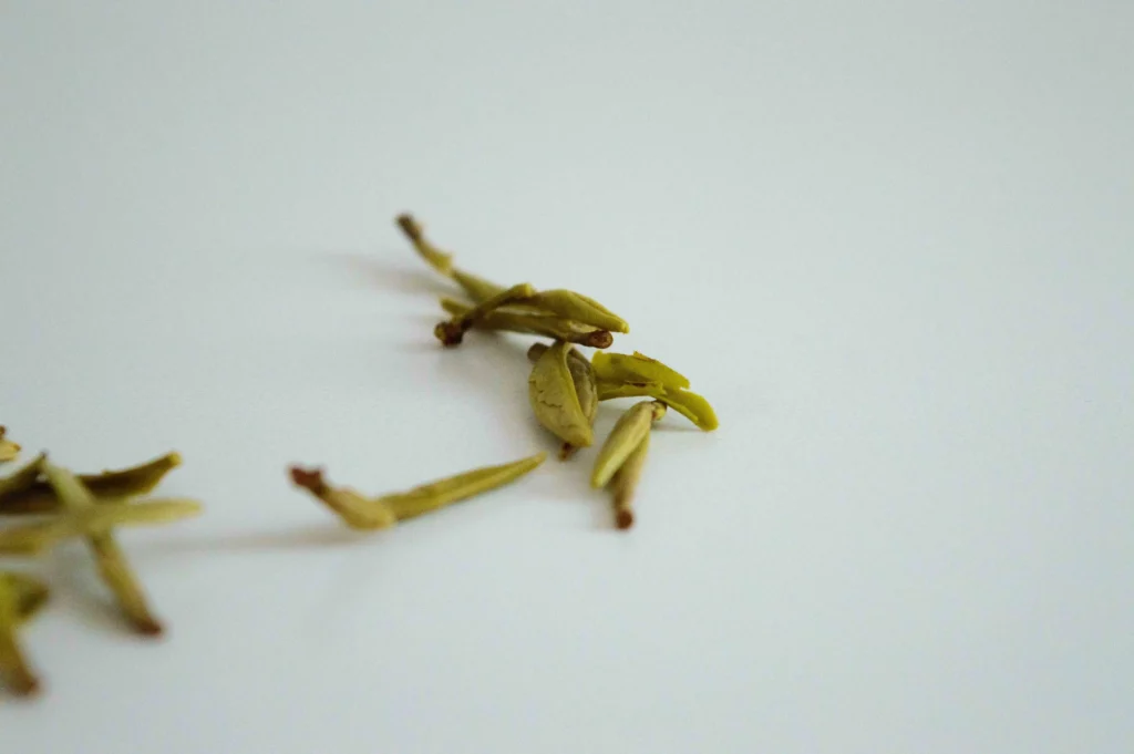 dégustation_thé_jaune_junshan Yin zhen