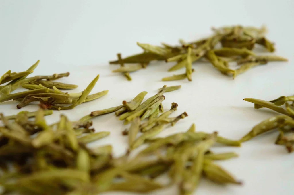 dégustation_thé_jaune_junshan Yin zhen