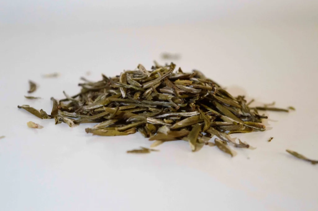 dégustation_thé_jaune_junshan Yin zhen