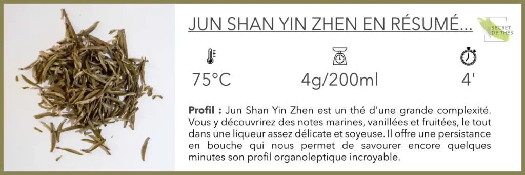 dégustation_thé_jaune_junshan Yin zhen
