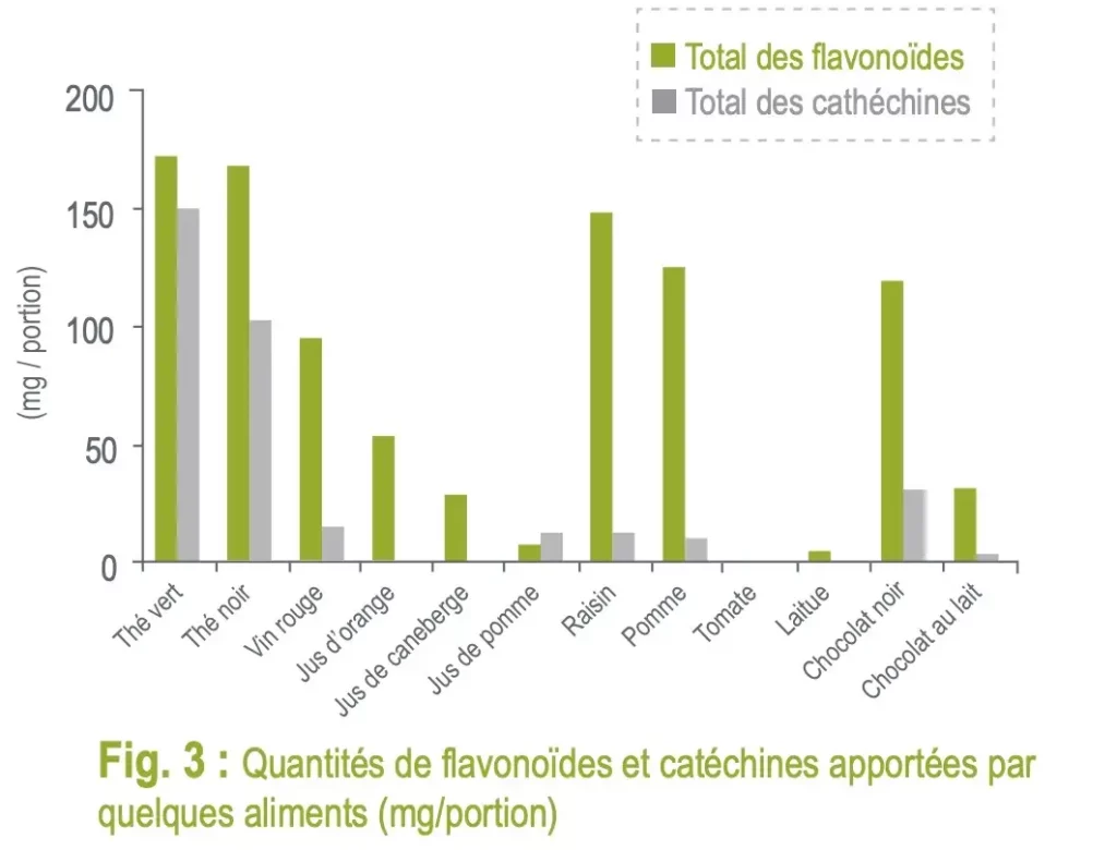 bienfaits thé vert teneur