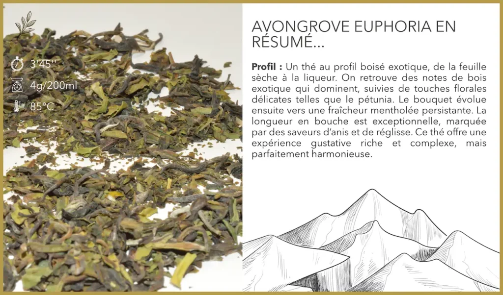 thé_darjeeling_rare_avongrove